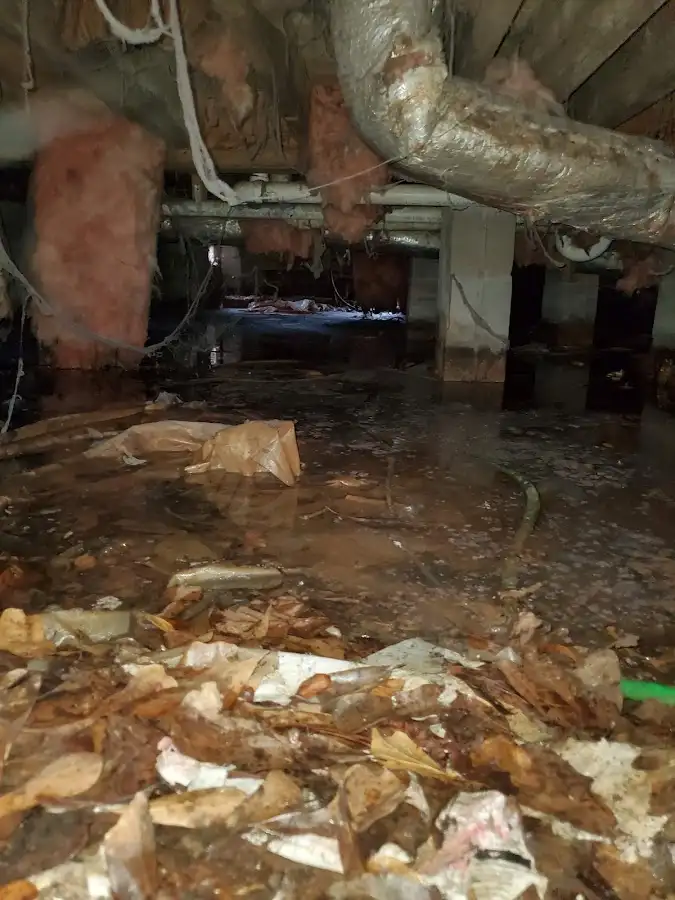 Crawl space flood assessment for Leak Detection & Repair in Grand Prairie